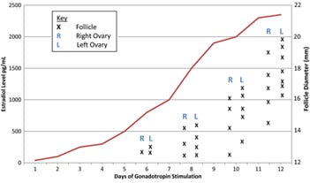 Estradiol and Follicular Diameter in IVF by Day of  Stimulation