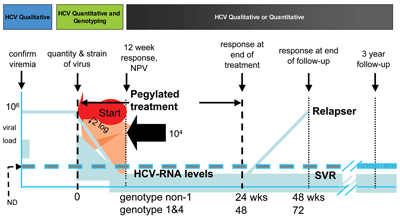 Figure 3: Combo-therapy Treatment Protocol
