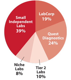Independent Lab Segment&mdash;$24 Billion