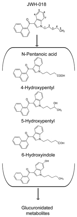 Major Metabolites of JWH-018 Detected in Urine