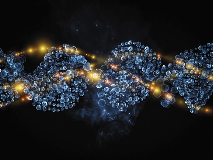 Human proteome