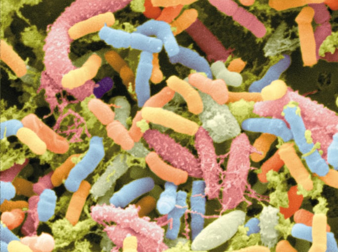 Celiac image