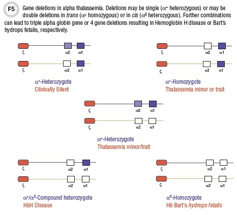 CLN May15 Figure 5