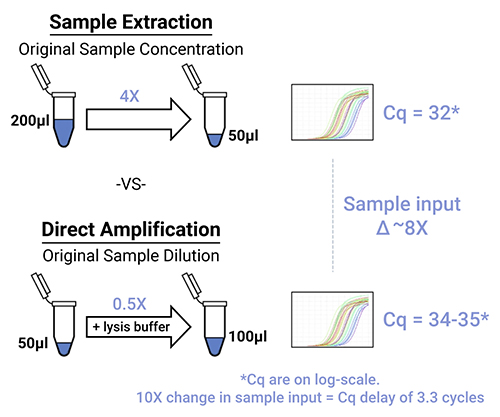 Comparison of amplification results of the same sample with a sample extraction workflow and a direct amplification workflow.