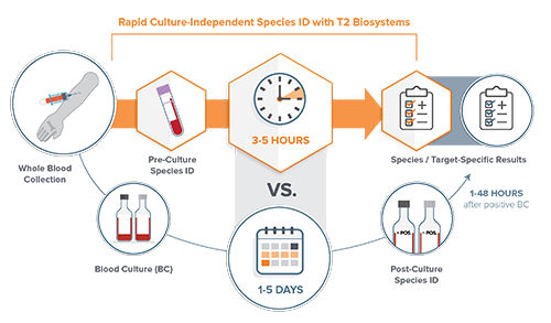Rapid Culture-Independent Species ID with T2 Biosystems