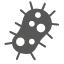 bacteria