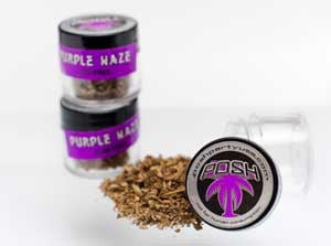 Purple Haze