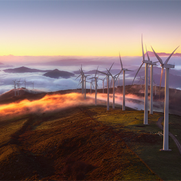 technology solutions for the energy industry