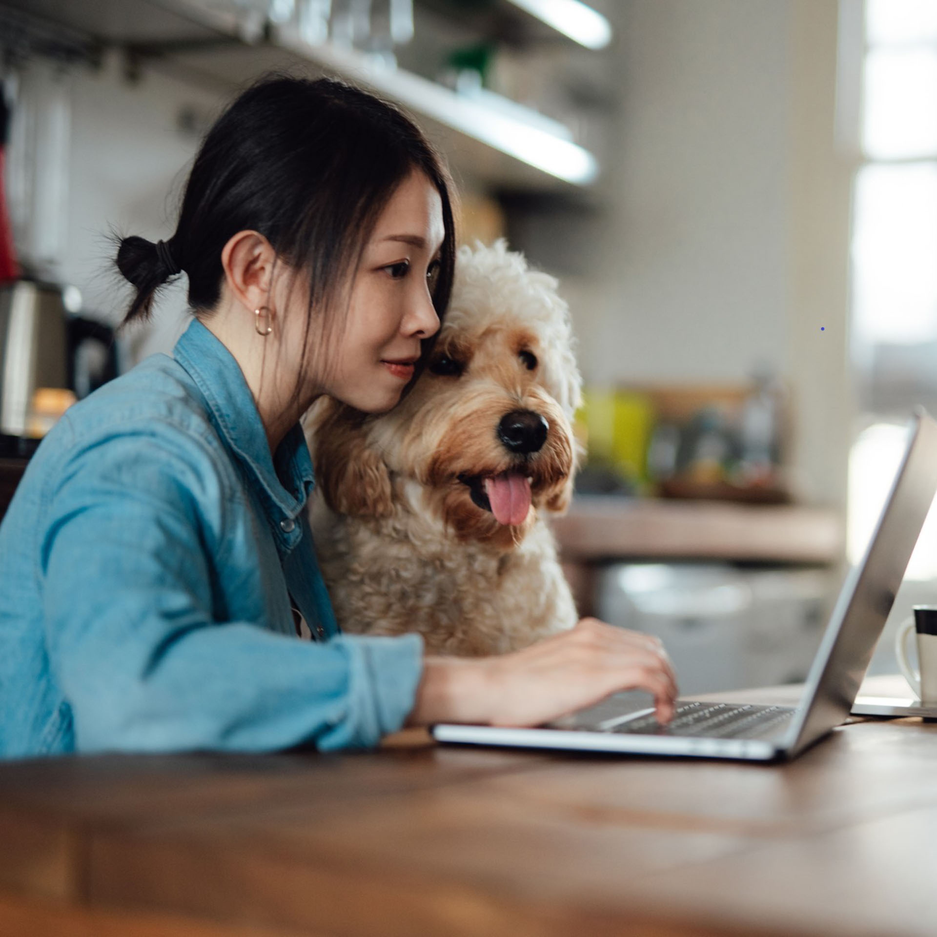 Blundstone Microsoft Dynamics 365 client story