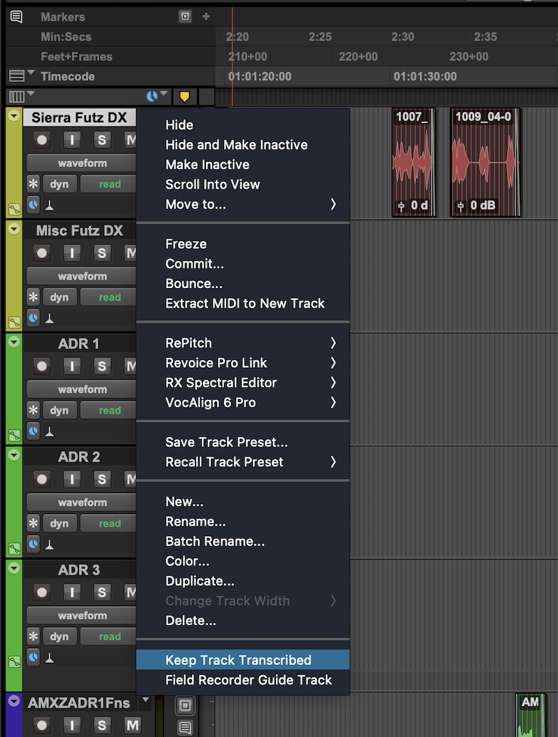Screenshot of keep transcribed Speech to Text in Pro Tools