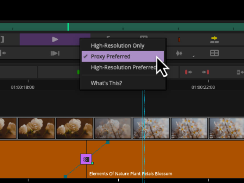 Proxy editing screenshot