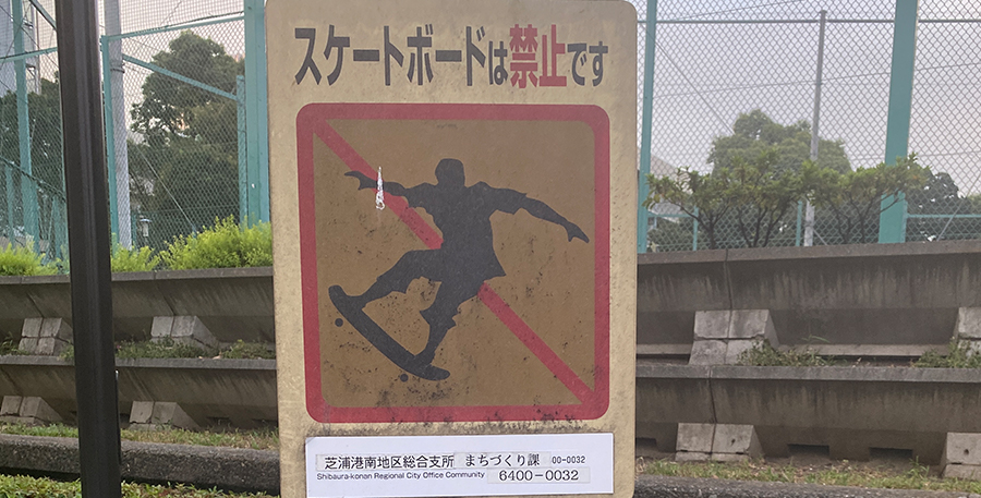 Skateboarder
