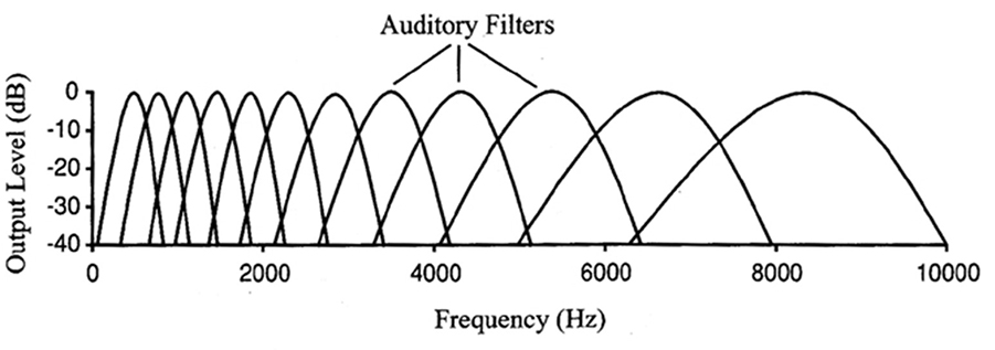 auditory filter bank model of the human ear