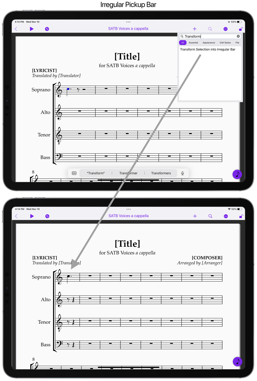 7 Sibelius 202111 Transform Selection