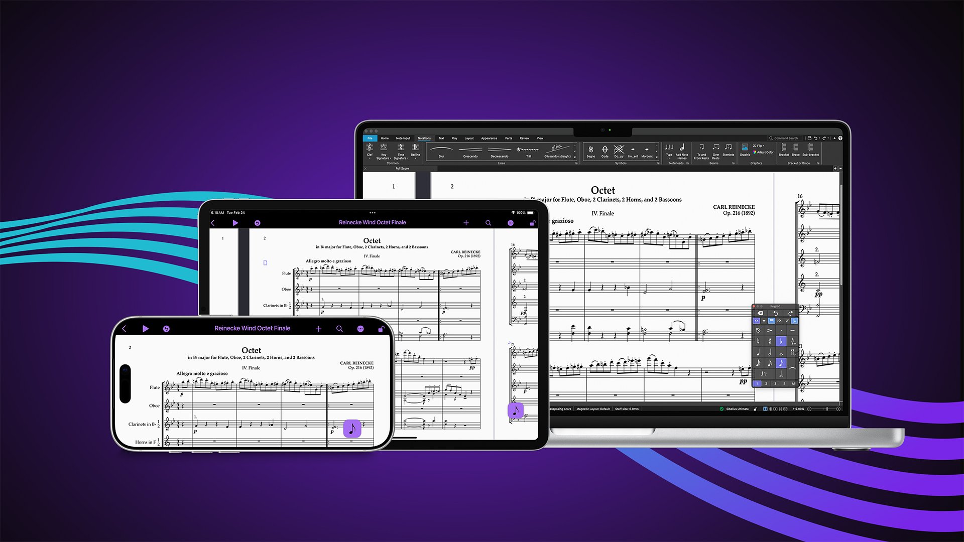 Sibelius Dark on Apple Devices
