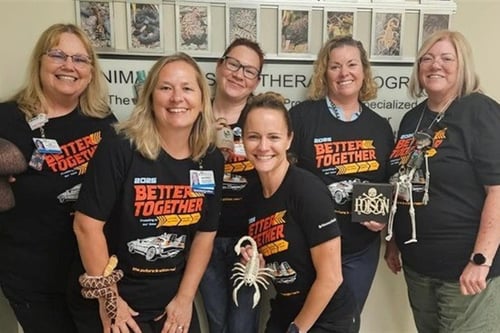 Poison Center BT drop