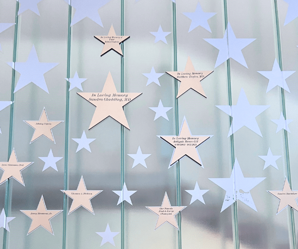 honoring-our-stars_600x500_v2