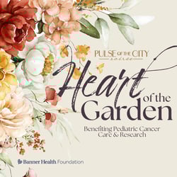 Pulse 24 - Graphic - 1