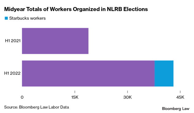 NRLB Elections 2022