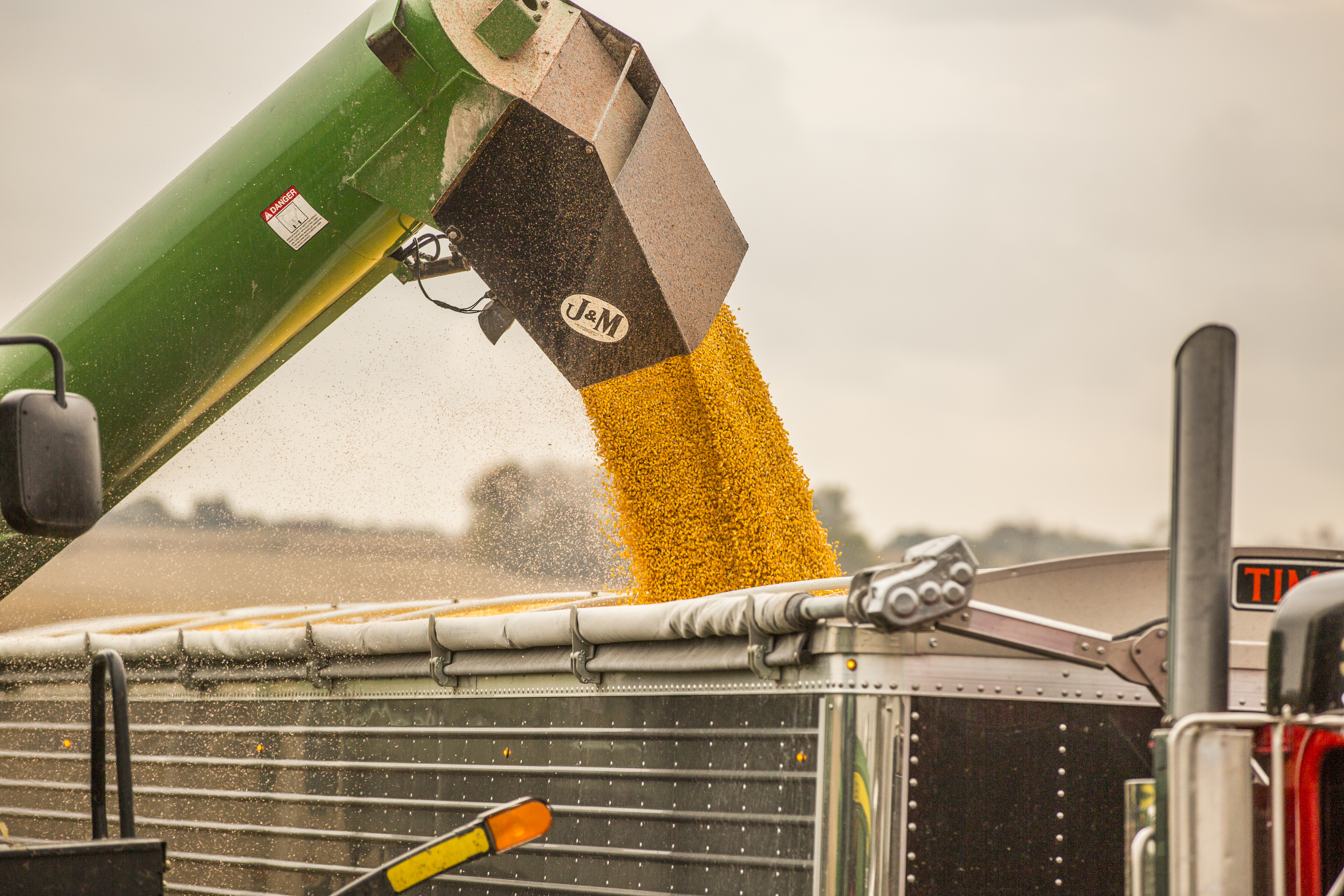 truck_being_loaded_with_corn_17