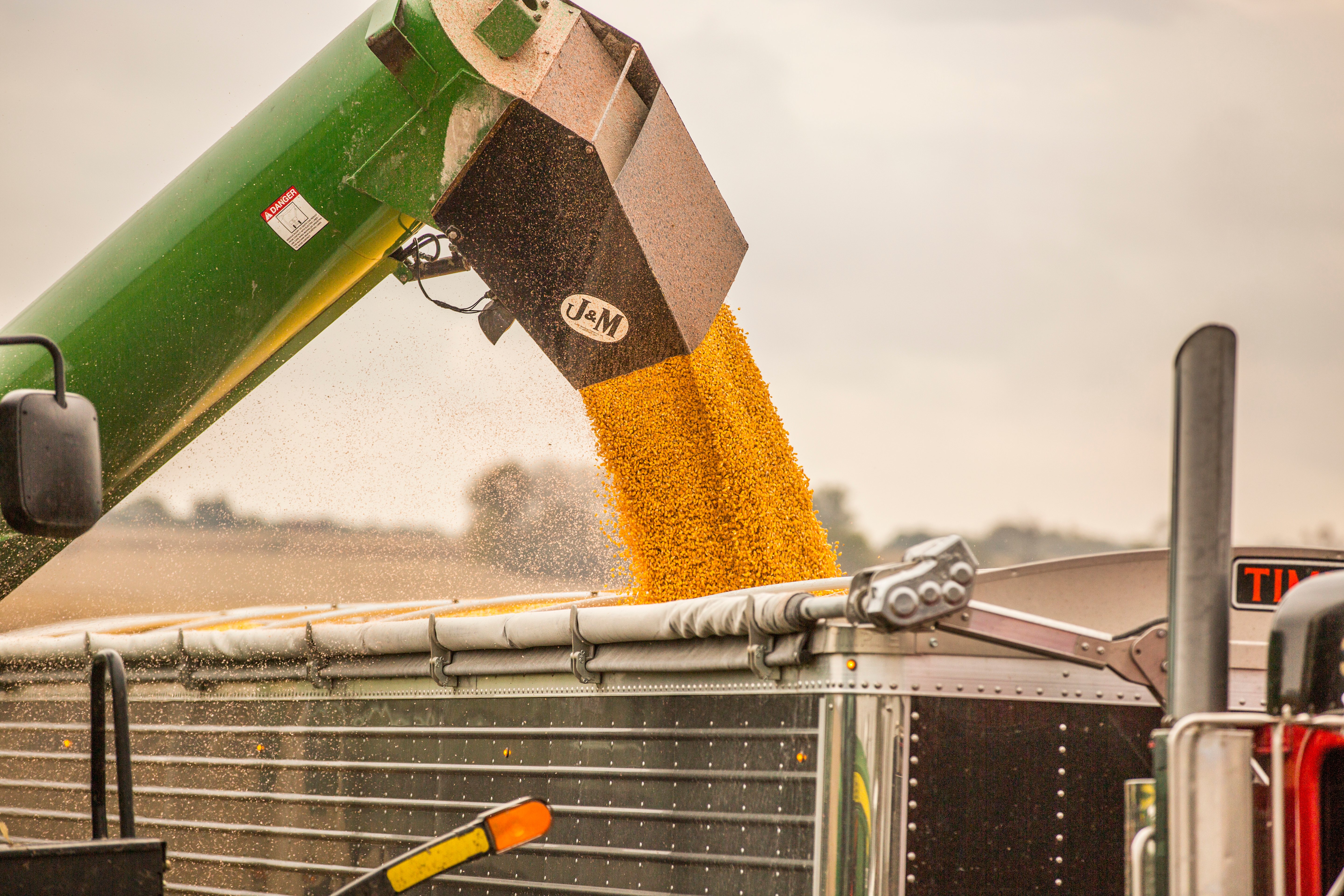 truck_being_loaded_with_corn_17