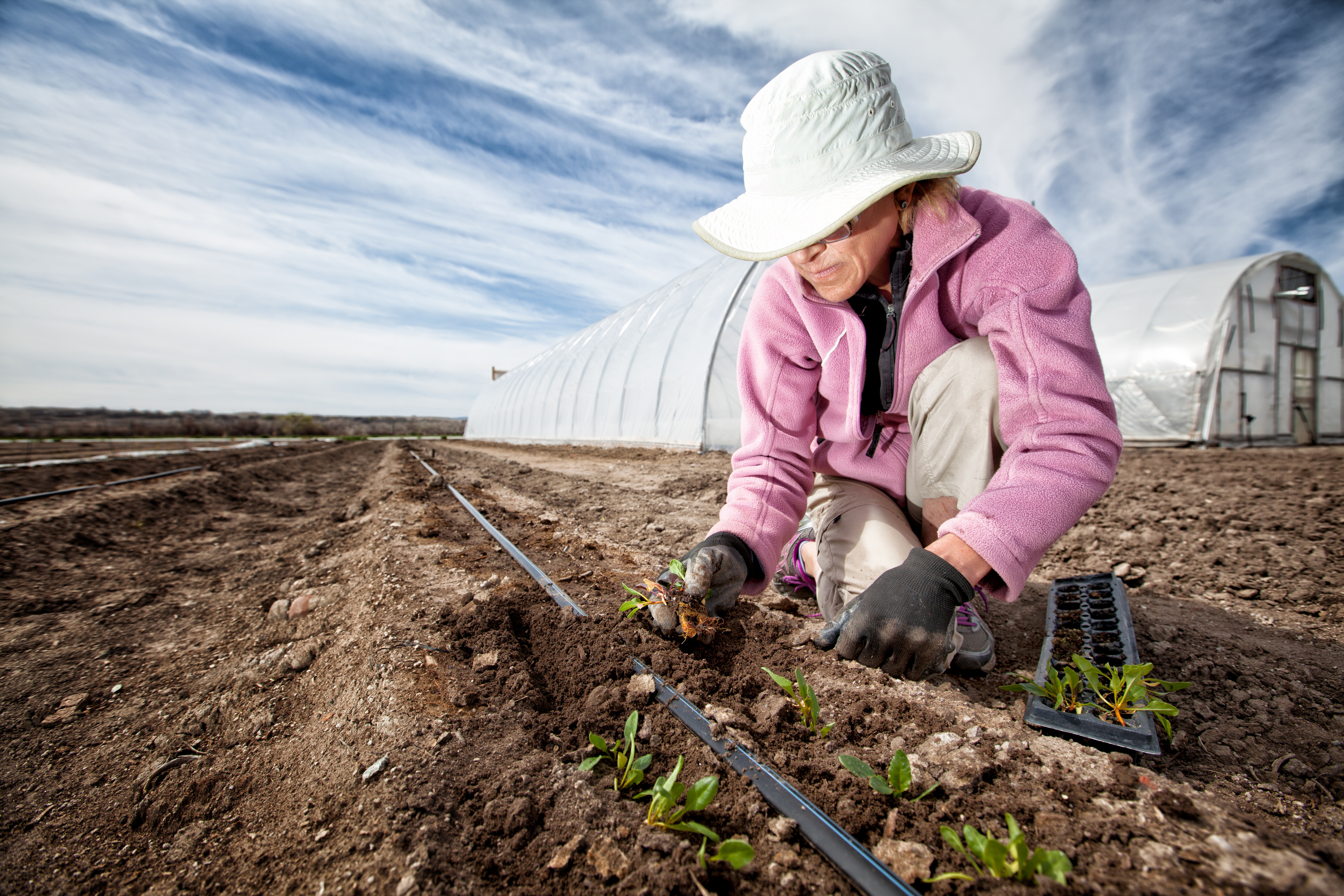 woman planting seedings on organic farm
