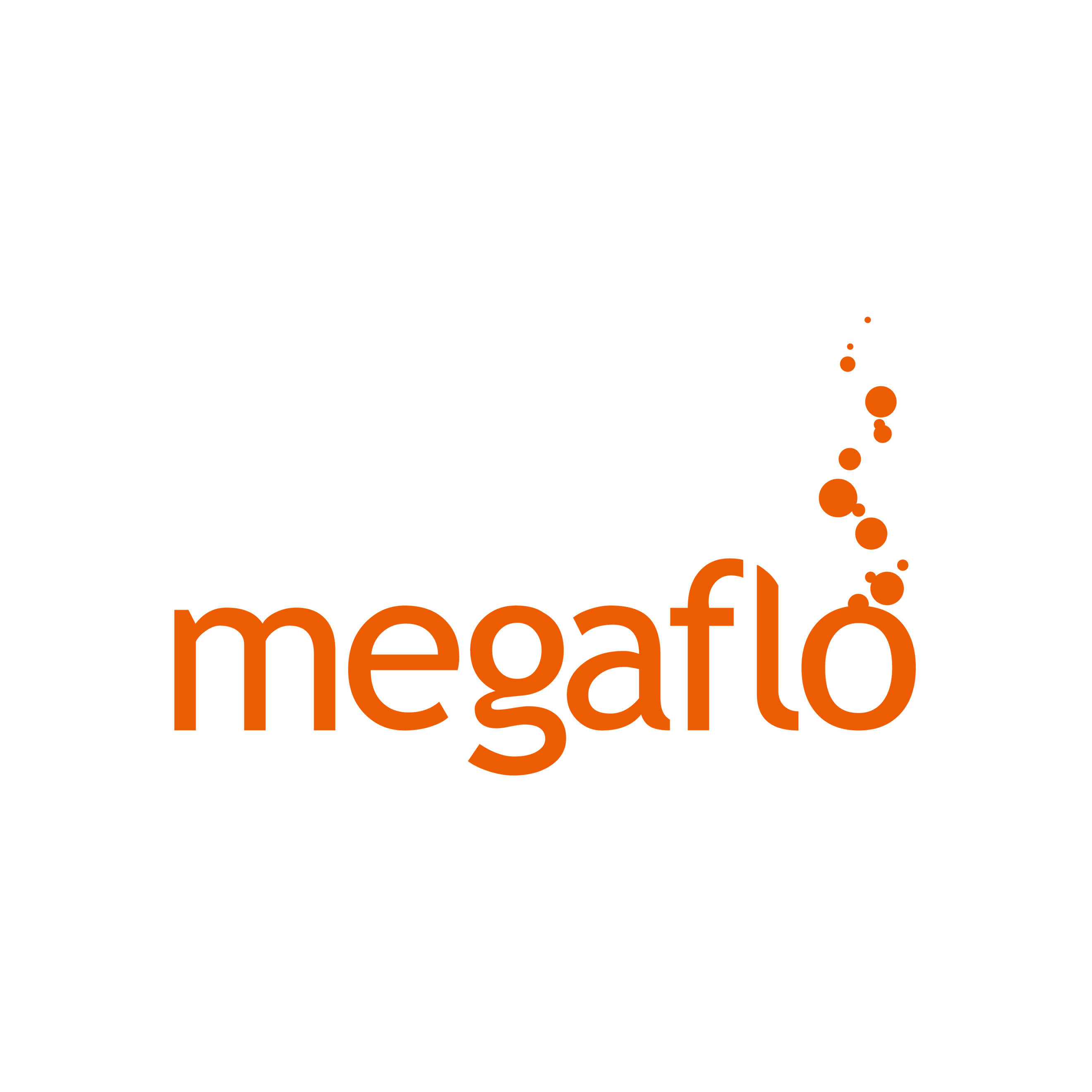 Megaflo 768px3