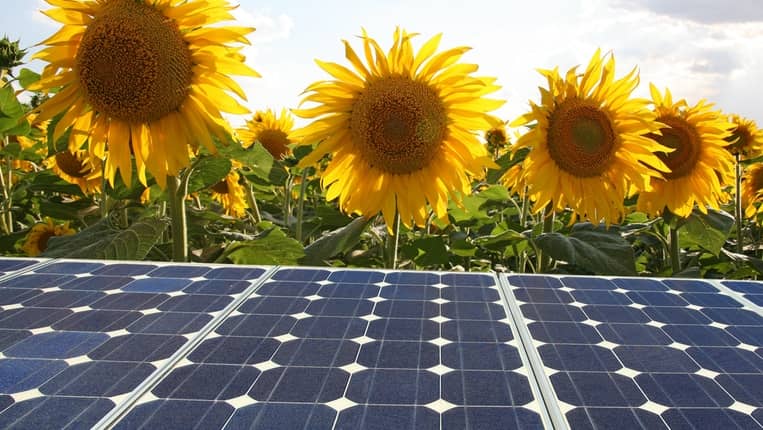 autoconsumo paneles solares fotovoltaicos