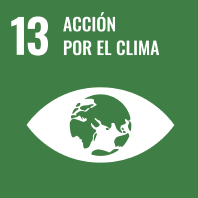 S-WEB-Goal-13 1