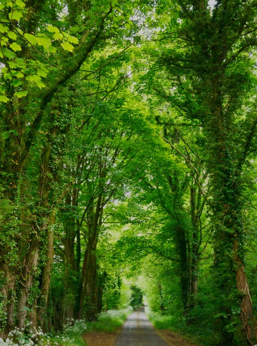 sostenibilidad-ambiente