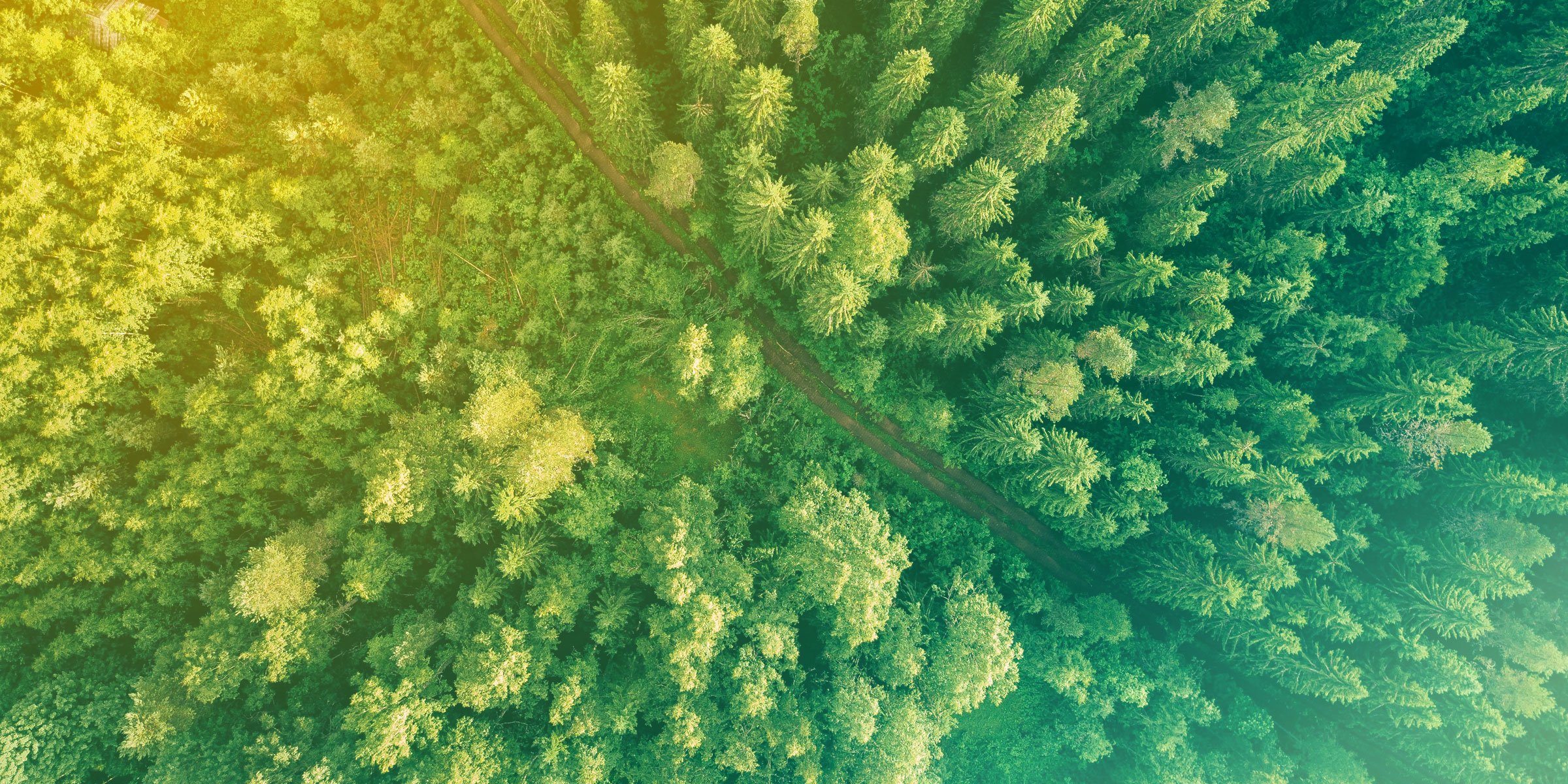 help-and-advice-banner