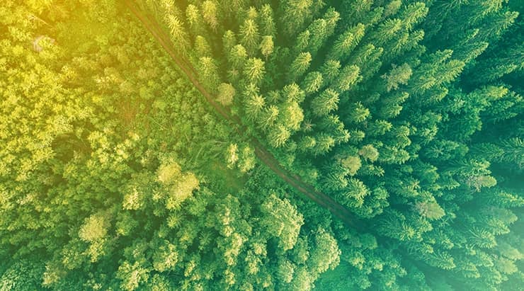 sustainability-thumb