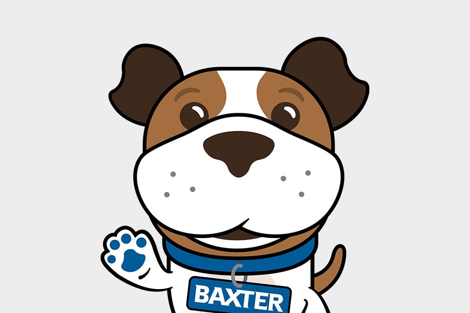 Baxi Baxter profile picture