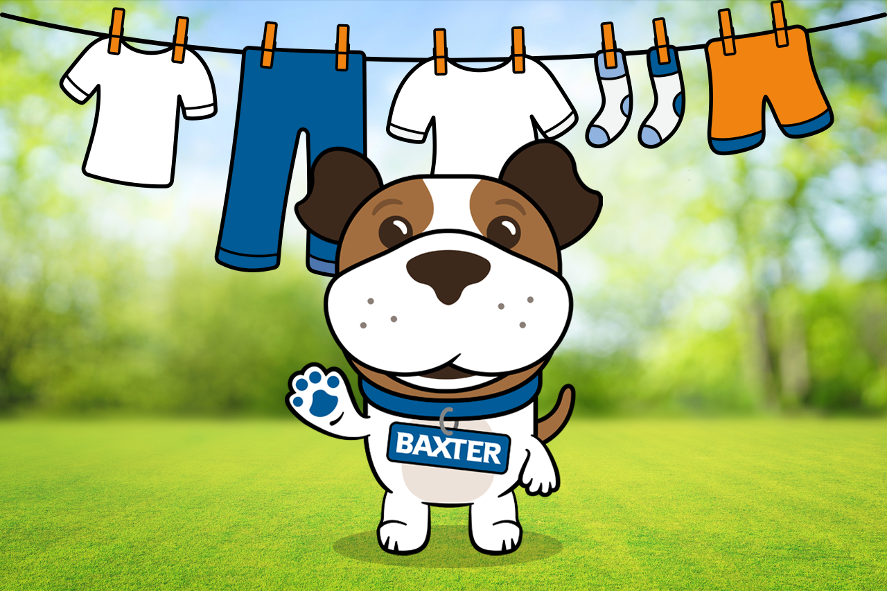 Baxi Boiler Energy Saving Tips - radiator 