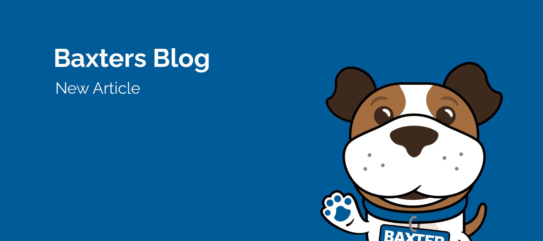 baxters-blog-banner
