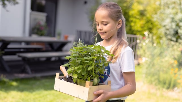 Ein Mädchen trägt eine Pflanze im Korb durch den Garten