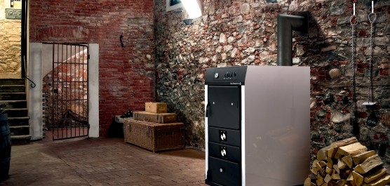 photo-d-ambiance-chaudiere-a-bois-cbi-cave