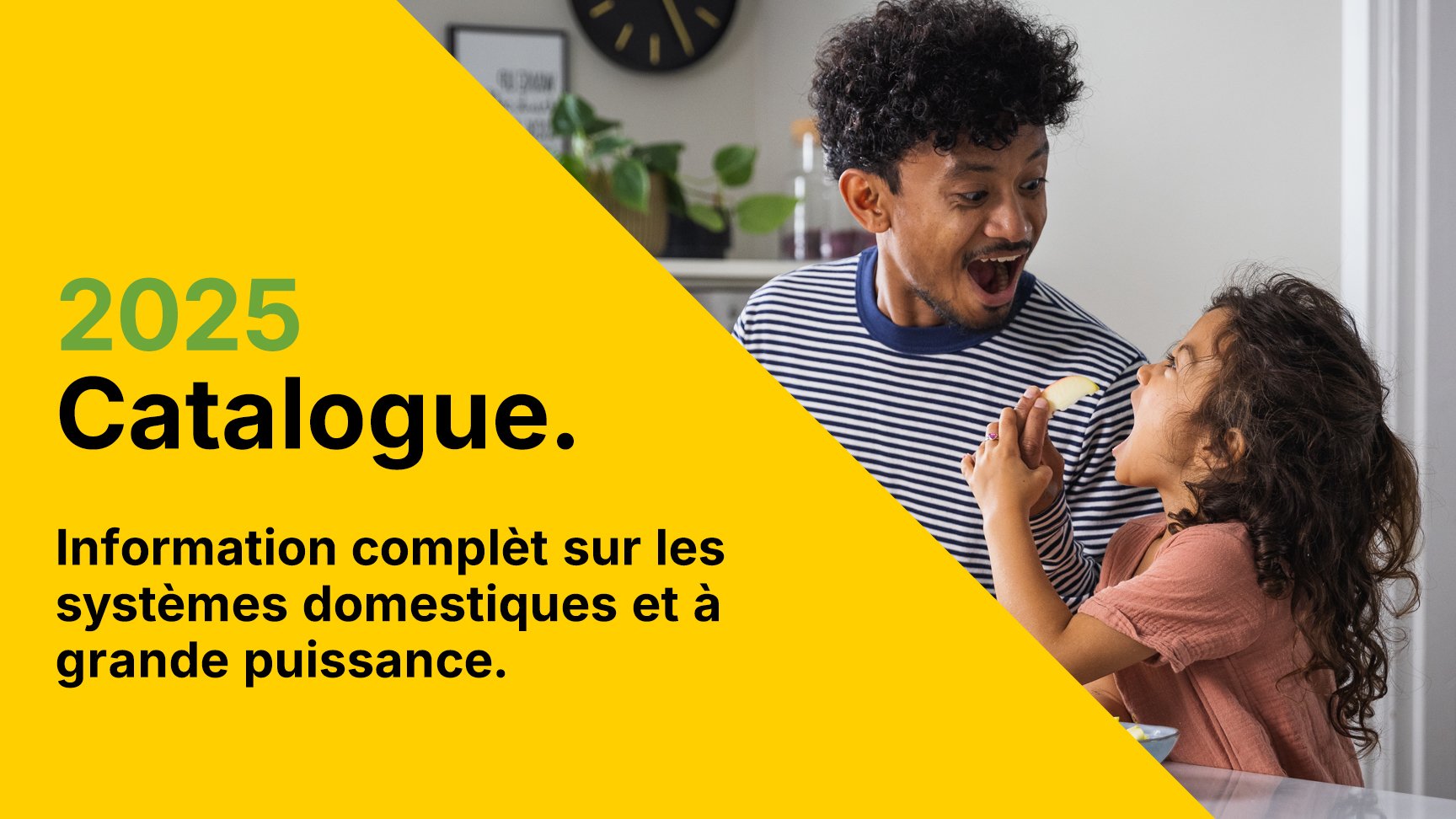 catalogue-système-domestiques-et-grande-puissance