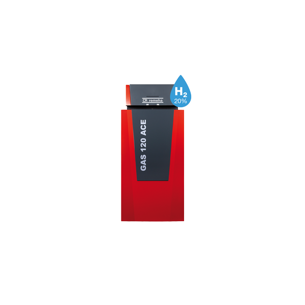 Gas-Brennwert-Standheizkessel Gas 120 Ace