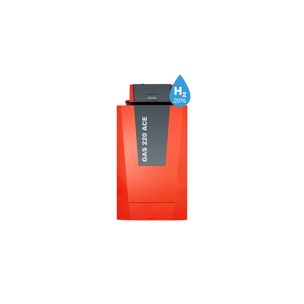 Gas-Brennwert-Standheizkessel Gas 220 Ace