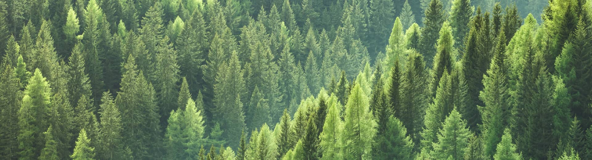 Eco-mode-uitgelicht