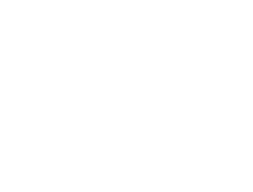 pluspunten-van-remeha-raster