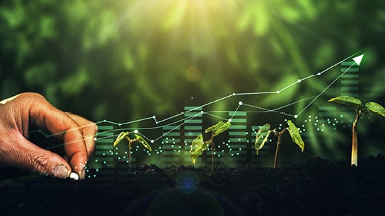 Ag Finance Insights June 2024_554x306