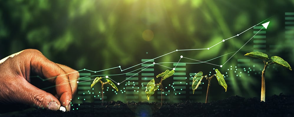 Ag Finance Insights June 2024_998x396