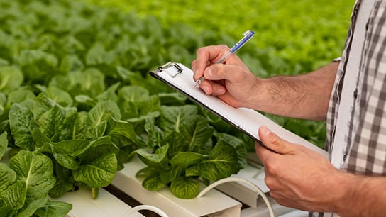 AgViews Live Focus on Fundamentals June 2024_554x306