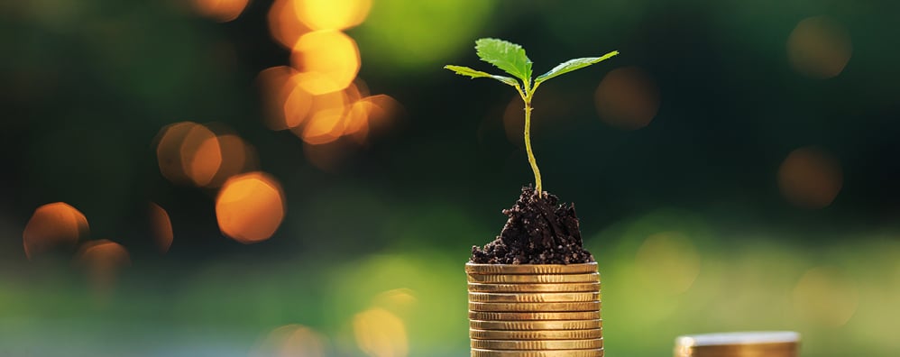 Endowments and Foundations