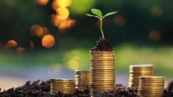 How Endowments and Foundations Can Navigate Market Changes to Build a Strong Portfolio_article