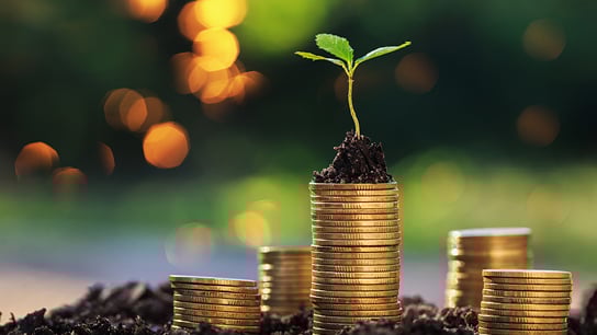 Endowments and Foundations_Card