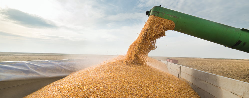 Golden corn kernels flow from a green harvester chute into a truck under a vast, cloudy sky, conveying a sense of abundance and agricultural productivity.