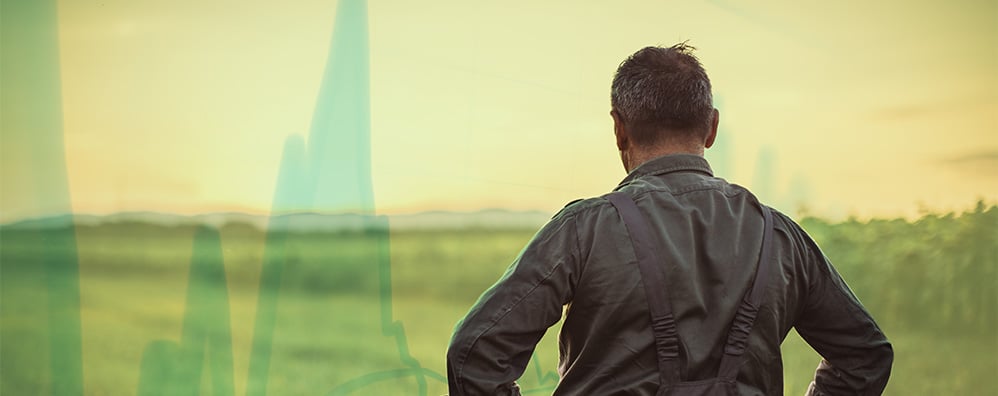 A person with their back turned, standing in a field at sunset with an overlay of abstract green graphs.